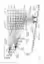 Fig. 03 - Time-coherent global network