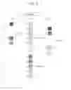 Fig. 08 - Image forming apparatus and method of correcting image concentration