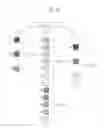 Fig. 09 - Image forming apparatus and method of correcting image concentration