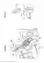 Fig. 14 - PRESSURE ADJUSTING MECHANISM FOR A FIXING DEVICE AND IMAGE FORMING APPARATUS