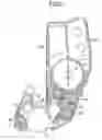 Fig. 03 - DEVELOPER MATERIAL CARRYING BODY, DEVELOPING UNIT, AND IMAGE FORMING APPARATUS