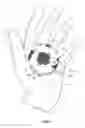 Fig. 02 - Hand held gel pack