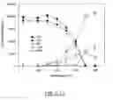 Fig. 16 - Ceramic nanofibers containing nanosize metal catalyst particles and medium thereof