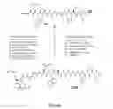 Fig. 33 - Gastrin releasing peptide compounds