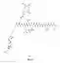 Fig. 44 - Gastrin releasing peptide compounds