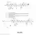 Fig. 65 - Gastrin releasing peptide compounds