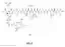 Fig. 71 - Gastrin releasing peptide compounds