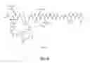 Fig. 72 - Gastrin releasing peptide compounds