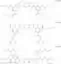 Fig. 06 - CONTRAST AGENTS