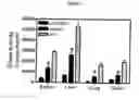 Fig. 02 - Method for the treatment of neurological disorders by enhancing the activity of beta-glucocerebrosidase