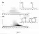 Fig. 06 - MULTI-PHASE EMULSIONS BASED ON AMPHIPHILIC BLOCK COPOLYMERS