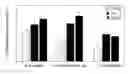 Fig. 01 - COMPOSITION COMPRISING EXTRACT OF CINNAMOMUM CASSIA BARK FOR IMPROVING NORMAL FLORA AND ENHANCING IMMUNE RESPONSE