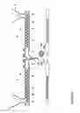 Fig. 05 - Manufacture of multiple minicapsules