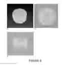 Fig. 06 - CERAMIC SCAFFOLDS FOR BONE REPAIR