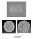Fig. 08 - CERAMIC SCAFFOLDS FOR BONE REPAIR