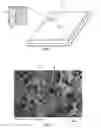 Fig. 02 - Hemostatic Sponge with Enzyme and Method of Manufacture