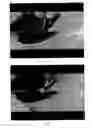Fig. 08 - Haemostatic material