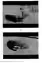 Fig. 09 - Haemostatic material