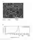 Fig. 01 - Sustained release systems and preparation method thereof
