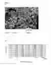 Fig. 05 - Sustained release systems and preparation method thereof