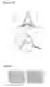 Fig. 09 - Aptamer-Directed Drug Delivery