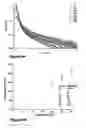 Fig. 07 - Beta-casein assemblies for mucosal delivery of therapeutic bioactive agents