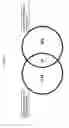 Fig. 06 - COMBINATION OF VITAMIN D AND 25-HYDROXYVITAMIN D 3