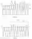 Fig. 06 - Honeycomb extrusion die apparatus