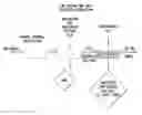 Fig. 01 - Methods of preparation of low sodium salt compositions