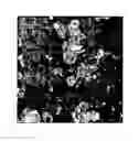 Fig. 01 - Functionalised graphene oxide
