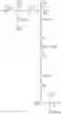 Fig. 07 - Process for making core-shell fluorinated particles and an overcoat layer comprising the same