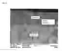 Fig. 07 - Method and compositions for creating an atomic composite of ceramics coated with titanium making use of coating methodology