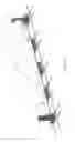 Fig. 24 - METHOD FOR PRODUCING A HOLLOW BODY