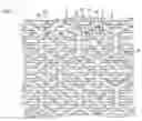 Fig. 01 - STRUCTURED PERFORATED PLASTIC SHEET