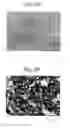 Fig. 04 - HEAT DISSIPATING MATERIAL INCLUDING CARBON SUBSTRATE WITH NANOMETER-ORDER UNEVEN STRUCTURE AND ITS MANUFACTURING METHOD