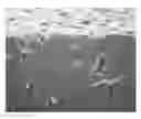Fig. 01 - METHOD OF PRODUCING POROUS SHEET AND POROUS SHEET OBTAINED BY THE PRODUCTION METHOD
