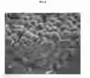 Fig. 02 - METHOD OF PRODUCING POROUS SHEET AND POROUS SHEET OBTAINED BY THE PRODUCTION METHOD