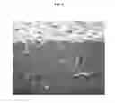 Fig. 03 - METHOD OF PRODUCING POROUS SHEET AND POROUS SHEET OBTAINED BY THE PRODUCTION METHOD