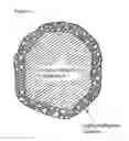 Fig. 02 - ROOFING ARTICLES WITH HIGHLY REFLECTIVE COATED GRANULES