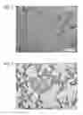 Fig. 03 - Lamp design surface member and method of manufacturing lamp design surface member