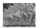 Fig. 01 - Zinc Oxide and Cobalt Oxide Nanostructures and Methods of Making Thereof