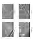 Fig. 02 - Zinc Oxide and Cobalt Oxide Nanostructures and Methods of Making Thereof