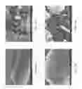 Fig. 05 - Zinc Oxide and Cobalt Oxide Nanostructures and Methods of Making Thereof