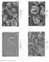 Fig. 17 - Zinc Oxide and Cobalt Oxide Nanostructures and Methods of Making Thereof