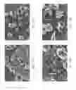 Fig. 18 - Zinc Oxide and Cobalt Oxide Nanostructures and Methods of Making Thereof