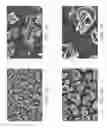 Fig. 19 - Zinc Oxide and Cobalt Oxide Nanostructures and Methods of Making Thereof