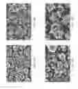 Fig. 20 - Zinc Oxide and Cobalt Oxide Nanostructures and Methods of Making Thereof