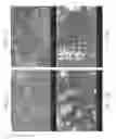 Fig. 23 - Zinc Oxide and Cobalt Oxide Nanostructures and Methods of Making Thereof