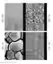 Fig. 28 - Zinc Oxide and Cobalt Oxide Nanostructures and Methods of Making Thereof