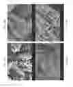 Fig. 33 - Zinc Oxide and Cobalt Oxide Nanostructures and Methods of Making Thereof